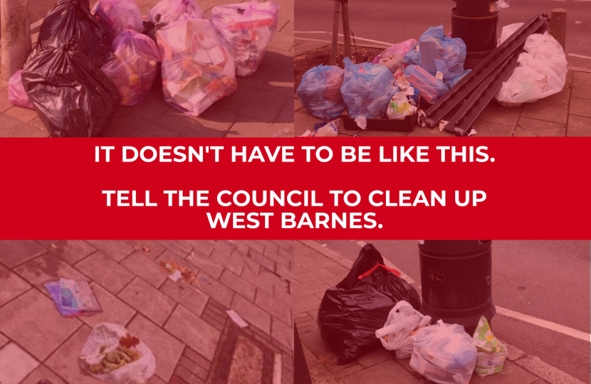 Clean Up West Barnes 